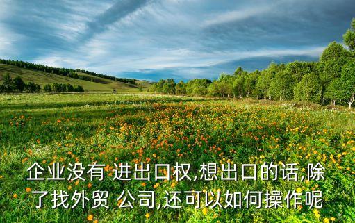 公司沒有進出口權怎么發貨,公司怎么辦理進出口權...